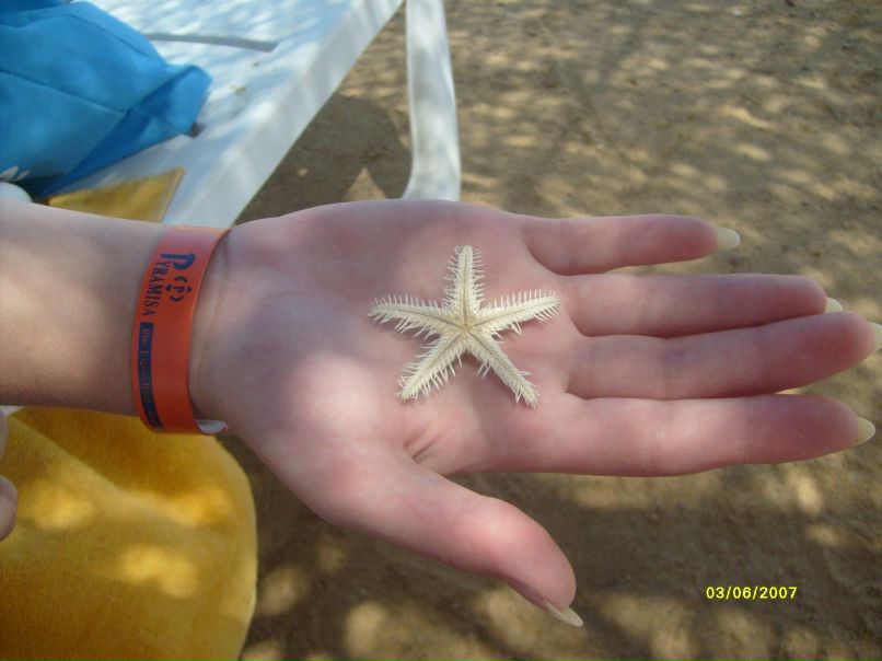 Ольга Воронкова | Минск