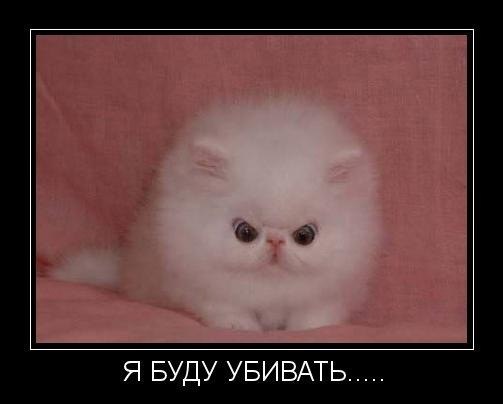 Роман Куликов николаевич | Санкт-Петербург