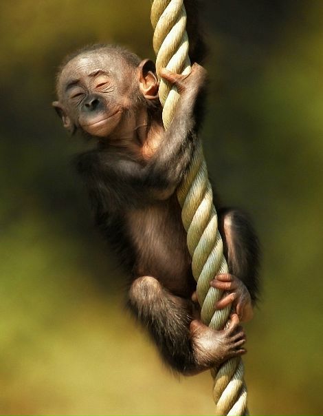 №14, Анатолий Никитин №14, Анатолий Никитин