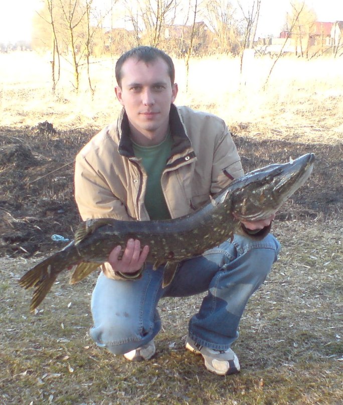 Александр Сыч | Kraków