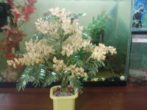 №21, Людмила Буга №21, Людмила Буга