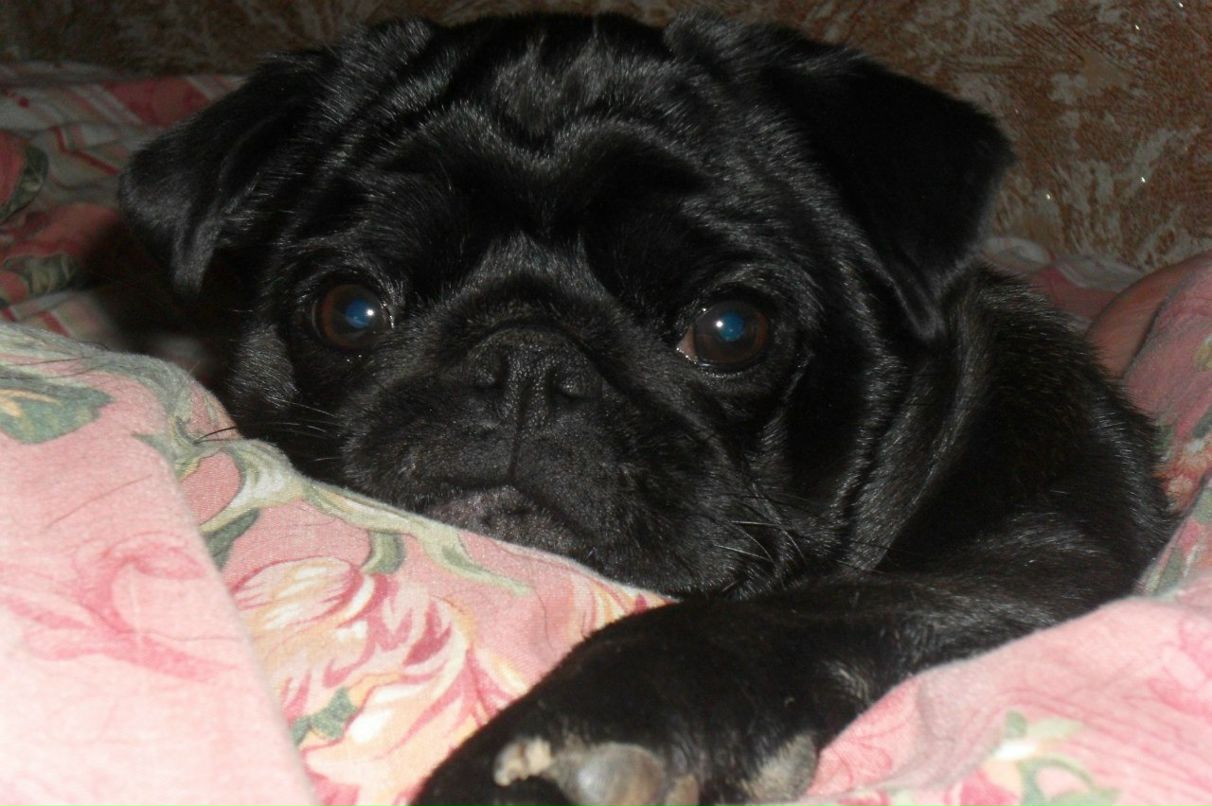 Наталья Андрусенко | Волгодонск