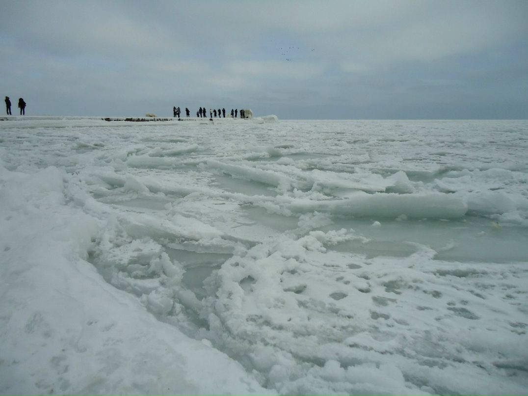 Наташа Артёменко | 