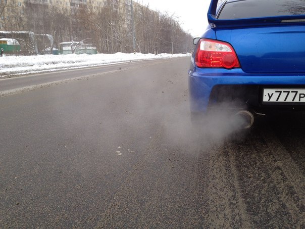 Валерий Тонконог | Камышин