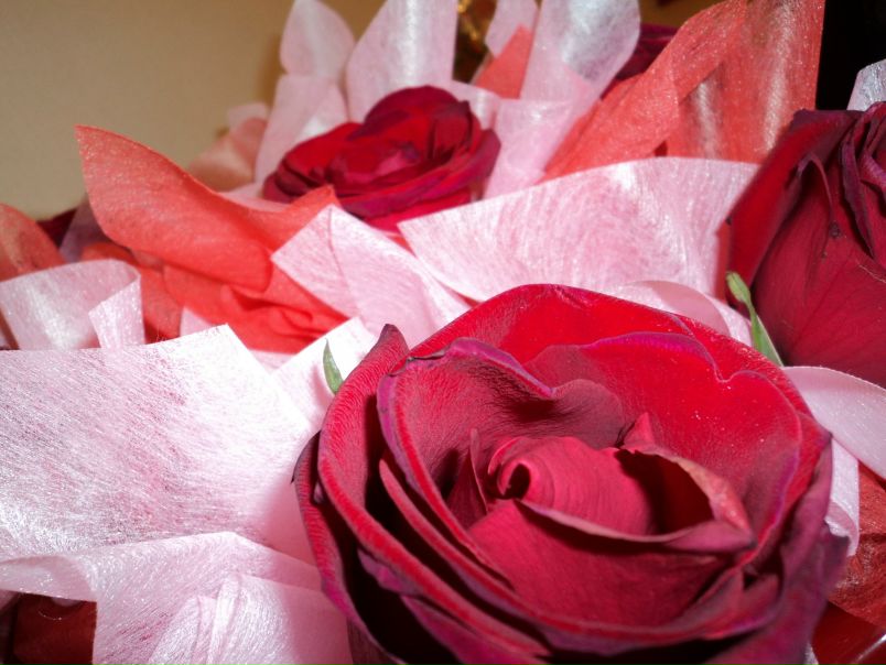 №26, Кира Илли, Иркутск, Россия №26, Кира Илли, Иркутск, Россия