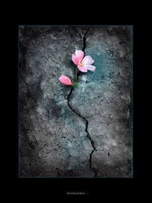 №7, Алена Лазуко, Казань, Россия №7, Алена Лазуко, Казань, Россия