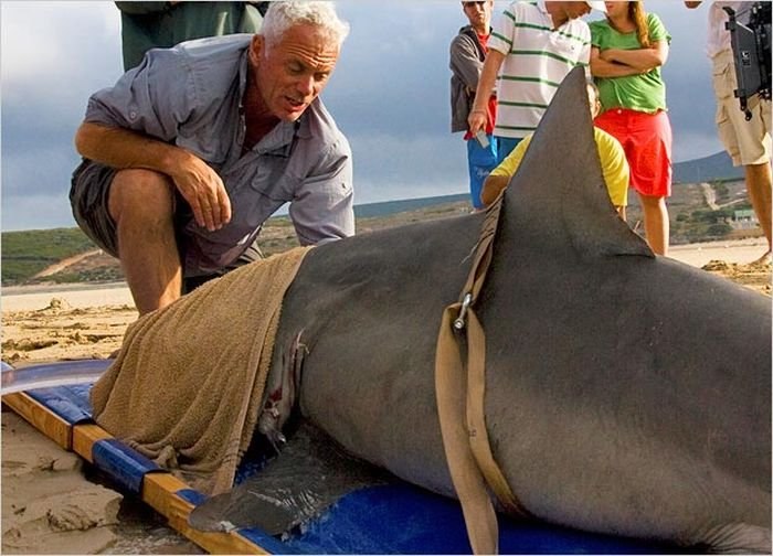 Шнапс Капитан | Санкт-Петербург