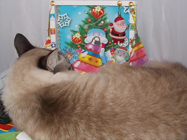 Полина Иванова | Черноголовка