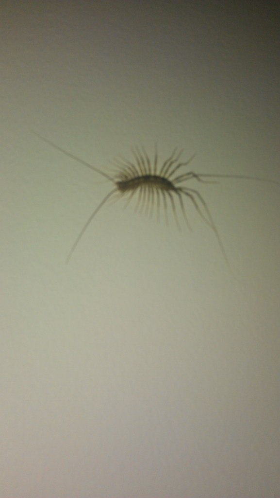 Никита Истомин | Toronto