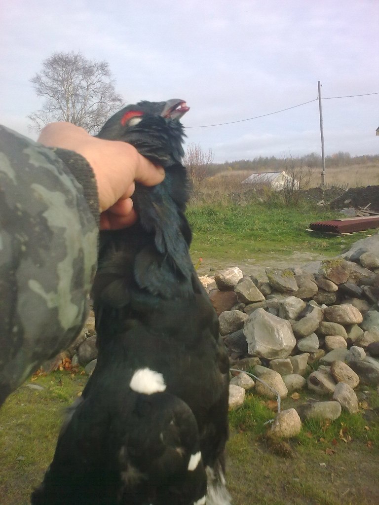 Серёга Петров | Петрозаводск