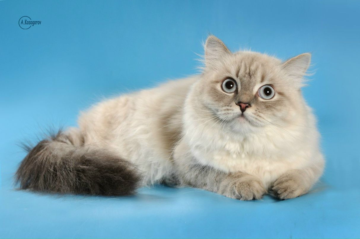 Виталий Зозуля | Мелитополь