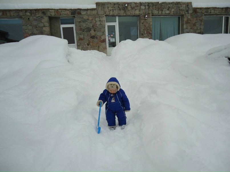 Светлана Шестова | Донецк