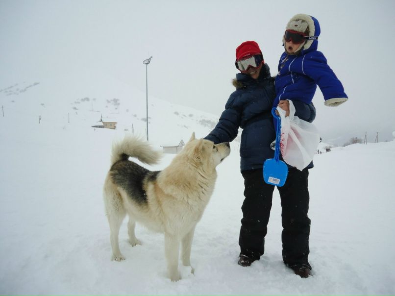 Светлана Шестова | Донецк
