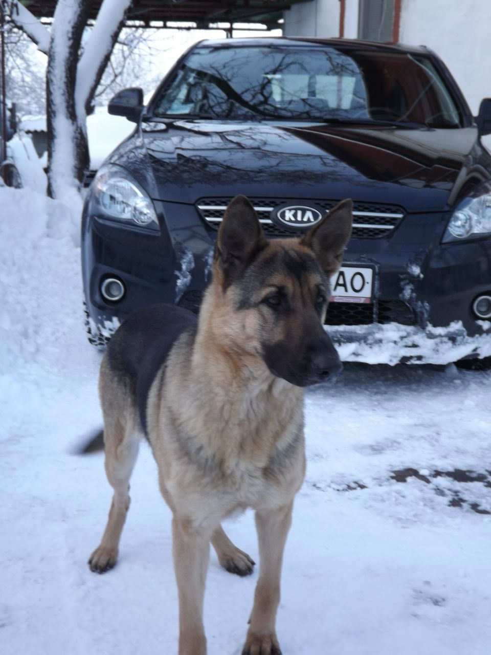 Сергей Ташкинов | Первомайск