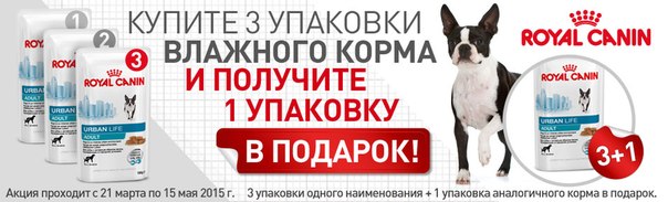Зоо71 Интернет Магазин Тула Каталог Товаров