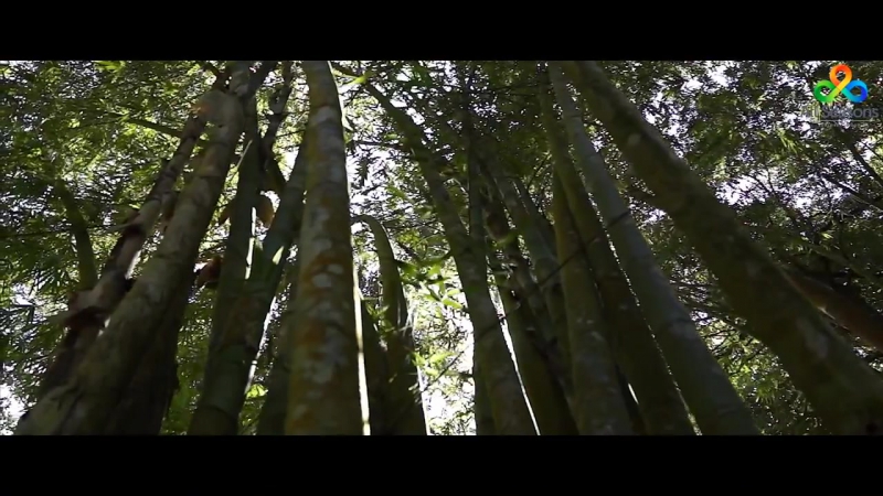 7 удовольствий острова