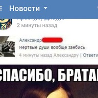 наши друзья-мои бро