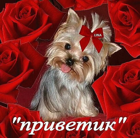 Светлана Гене