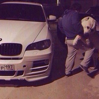 Дмитрий Котов