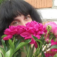 Алла Михайлова