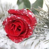Зинаида Каримова