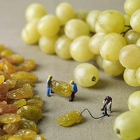 Сергей Шевченко