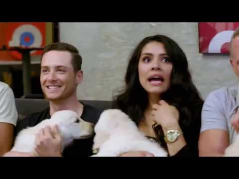 Puppy Casting for One