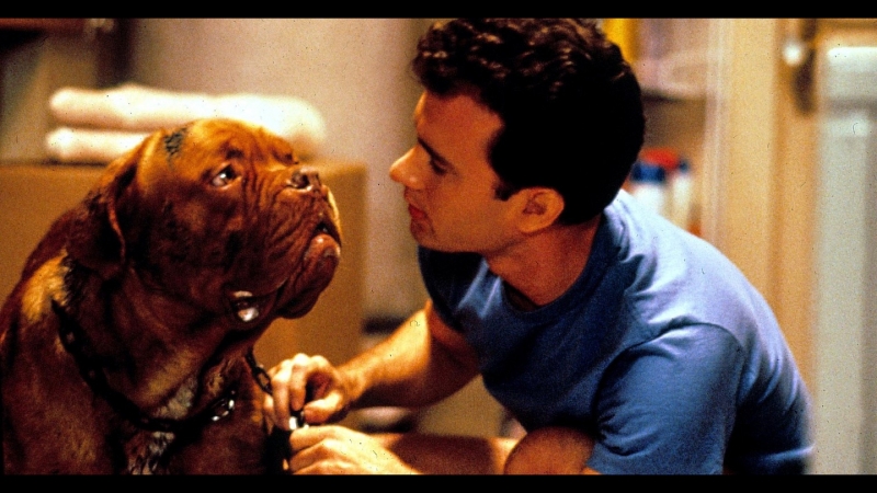 Тёрнер и and Hooch .