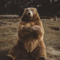 Михаил Андреев