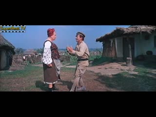 Хастл Секс