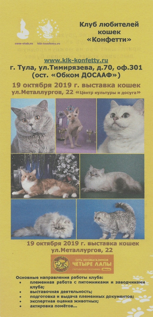 Афиша Тула Международная выставка кошек 19 октября Тула