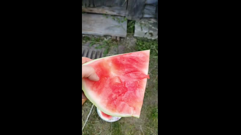 20200714_175822.mp4