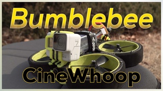 #cinewhoop #fpv #gopro Cinewhoop Iflight Bumblebee l Gopro
