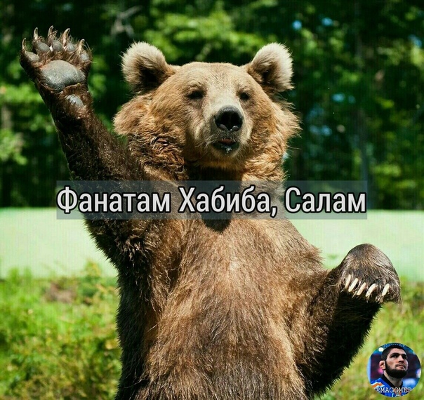 родители крутые картинки салам алейкум комментарий