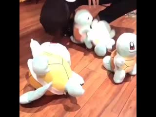 Rowoonie.mp4