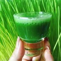 Витграсс отзывы форум. Витграсс 30мл. Витграсс микрозелень. Витграсс отзывы форум. Витграсс ростки пшеницы.