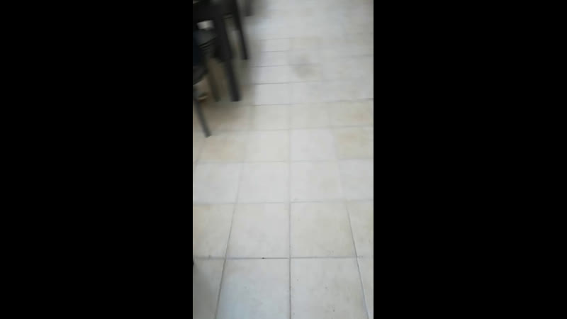 Kleopatra Sahara Otel