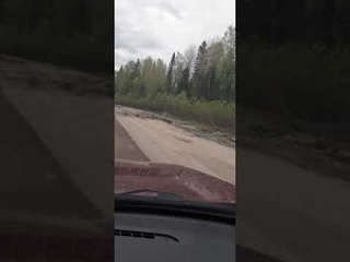 Дорога от усолья до ощепково