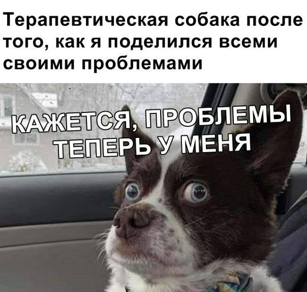 Кем то своими проблемами или