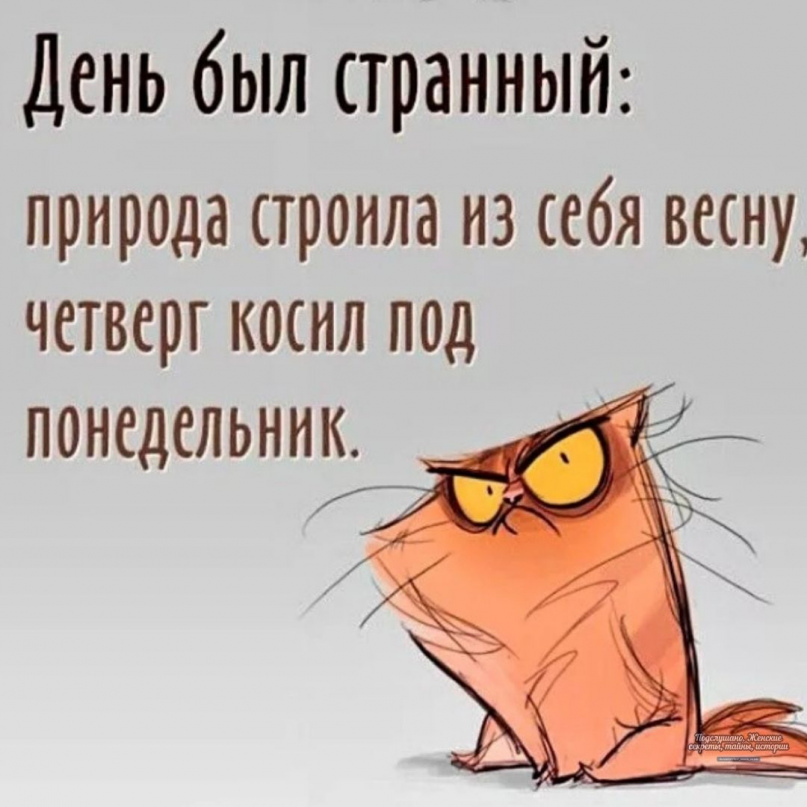 Четверг открытки с юмором