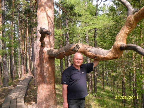 №2, Сергей Соснин, 68 лет, Красноярск №2, Сергей Соснин, 68 лет, Красноярск