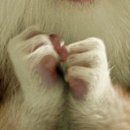 №33, Марина Баклыкова, 26 лет, Самара №33, Марина Баклыкова, 26 лет, Самара