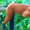 Аватар: Efsgtdhdhdth@rambler.ru Efsgtdhdhdth@rambler.ru