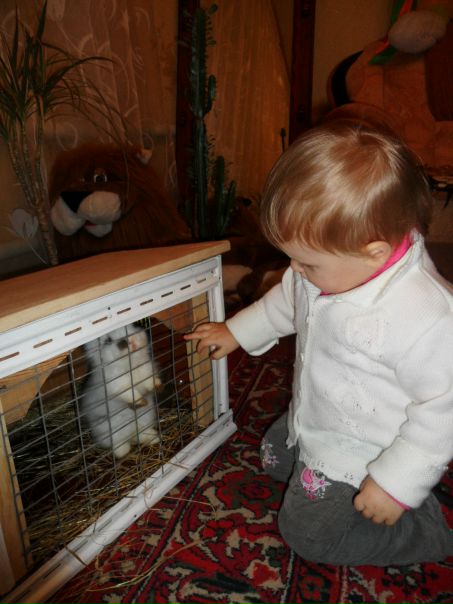 №80, Елена Полюхович, Верхнеднепровск №80, Елена Полюхович, Верхнеднепровск