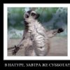 Аватар: Виктория Маркина