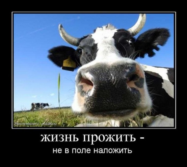 №16, Олег Бернацький, Дубровица №16, Олег Бернацький, Дубровица