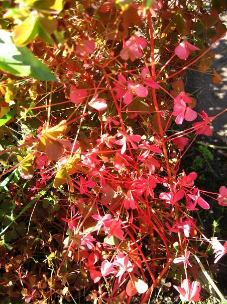 №190, Оксана Зубова, Санкт-Петербург №190, Оксана Зубова, Санкт-Петербург