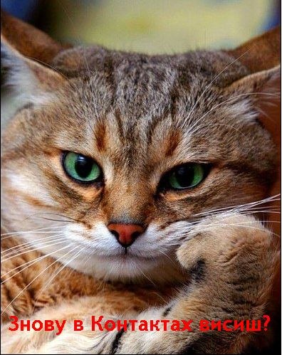 Володимир Корчинський vovabumer™ | Тернополь