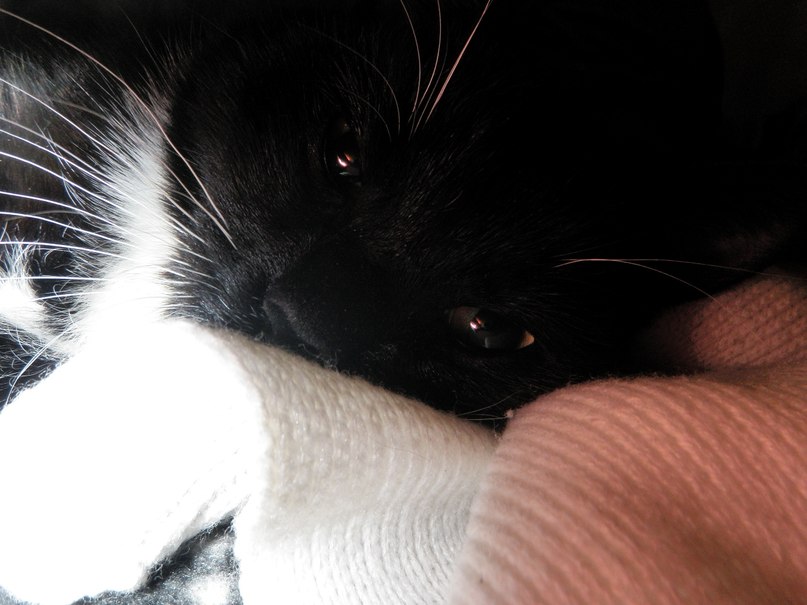 Анастасия Рубис | Мурманск