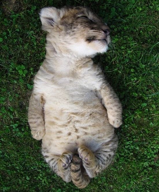 Антон Jajajajajajajajajajaja ʎ | Москва